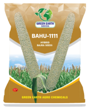 BAJRA VEER 1111