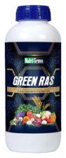 GREEN RAS PGR