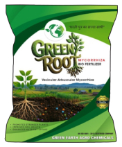 GREEN ROOT