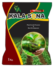 KALA SONA