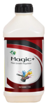 MAGIC PLUS PGR