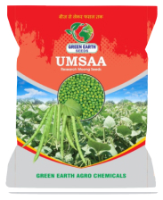 MOONG UMSAA Seeds