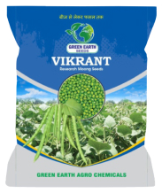 MOONG VIKARANT Seeds
